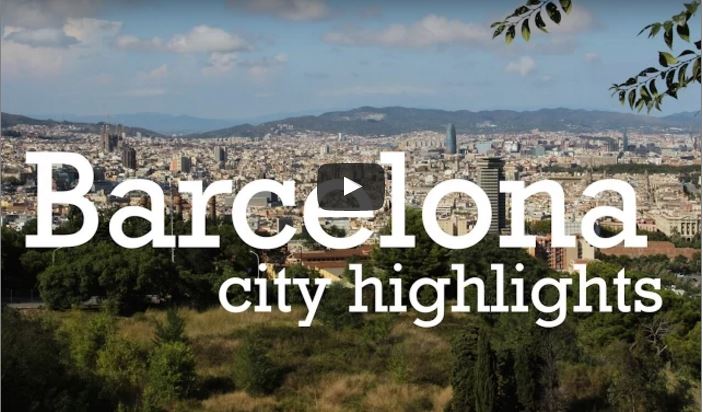 Screenshot barcelonavideo